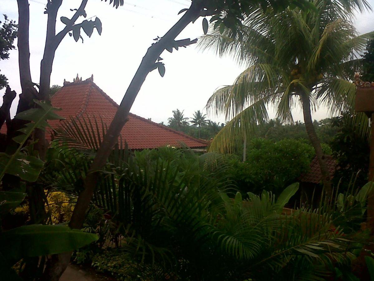 Eliska Sari Bungalows Sumberkima Pemuteran  Exterior photo